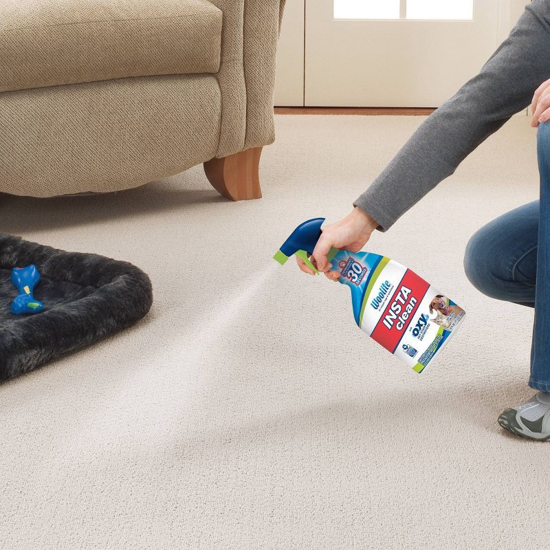 slide 6 of 6, Woolite INSTAclean Pet Stain Liquid Remover - 22 fl oz, 22 fl oz