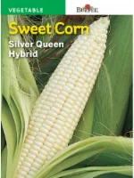 Burpee Silver Queen Hybrid Corn Seeds