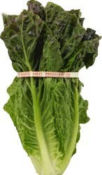 Produce Red Romaine Lettuce 1 ea