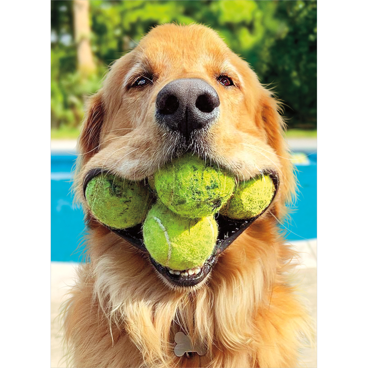 slide 1 of 1, Avanti Card Birthday Dog Tennis Balls, 1 ct