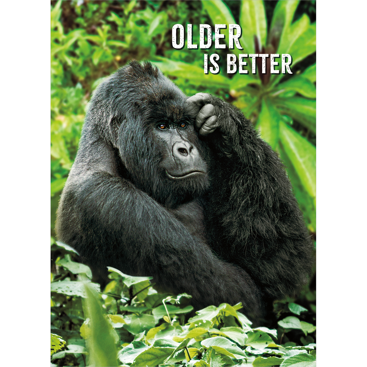slide 1 of 1, Avanti Card Birthday Gorilla Thinker, 1 ct