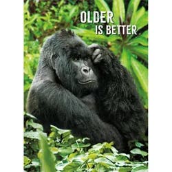 Avanti Card Birthday Gorilla Thinker