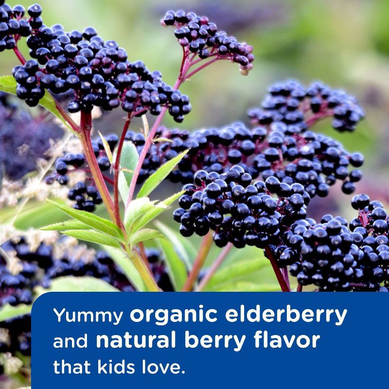 slide 5 of 10, Mommy's Bliss Children's Acetaminophen Pain Reliever Liquid - 2pk, 2 ct