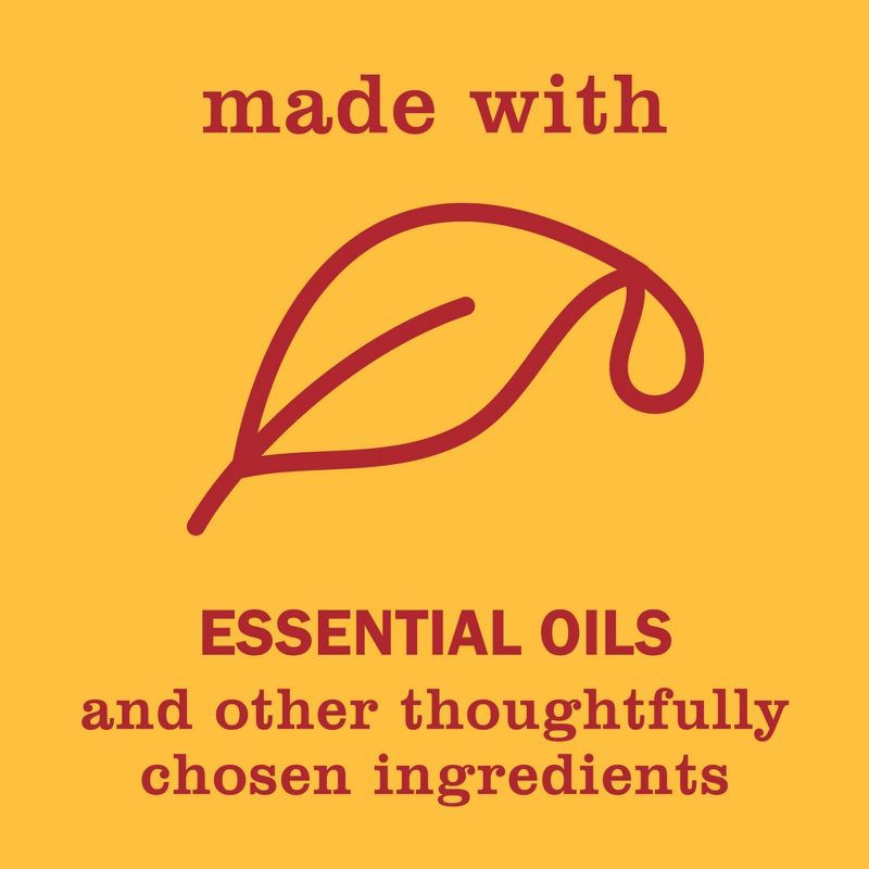 slide 5 of 7, Mrs. Meyer's Clean Day Liquid Hand Soap - Clementine - 12.5 fl oz, 12.5 fl oz