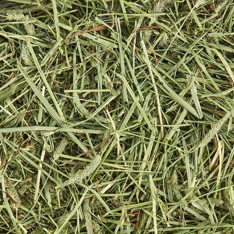 slide 5 of 5, Kaytee Unflavored Timothy Hay Rat, Guinea Pig, Hedgehog, Rabbit, Chinchilla, Hamster, Gerbil, Ferret and Mouse Pet Treats - 24oz, 24 oz