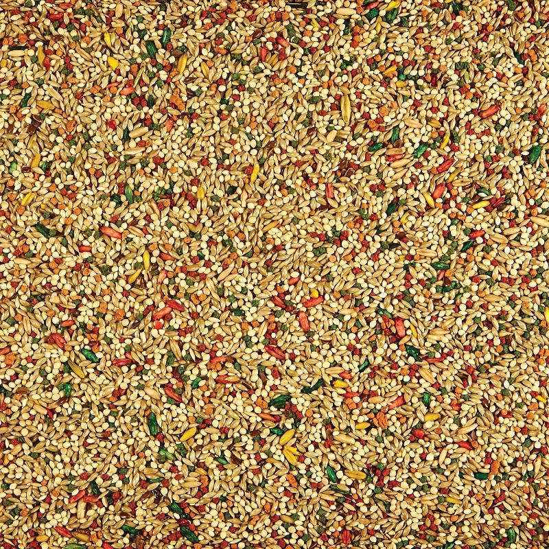 slide 3 of 3, Kaytee Forti Diet Parakeet Bird and Wildlife Food - 2lbs, 2 lb