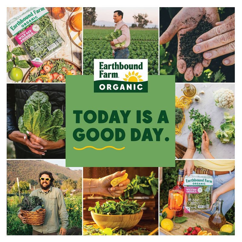 slide 4 of 4, Earthbound Farm Organic Wild Red Arugula - 4oz, 4 oz