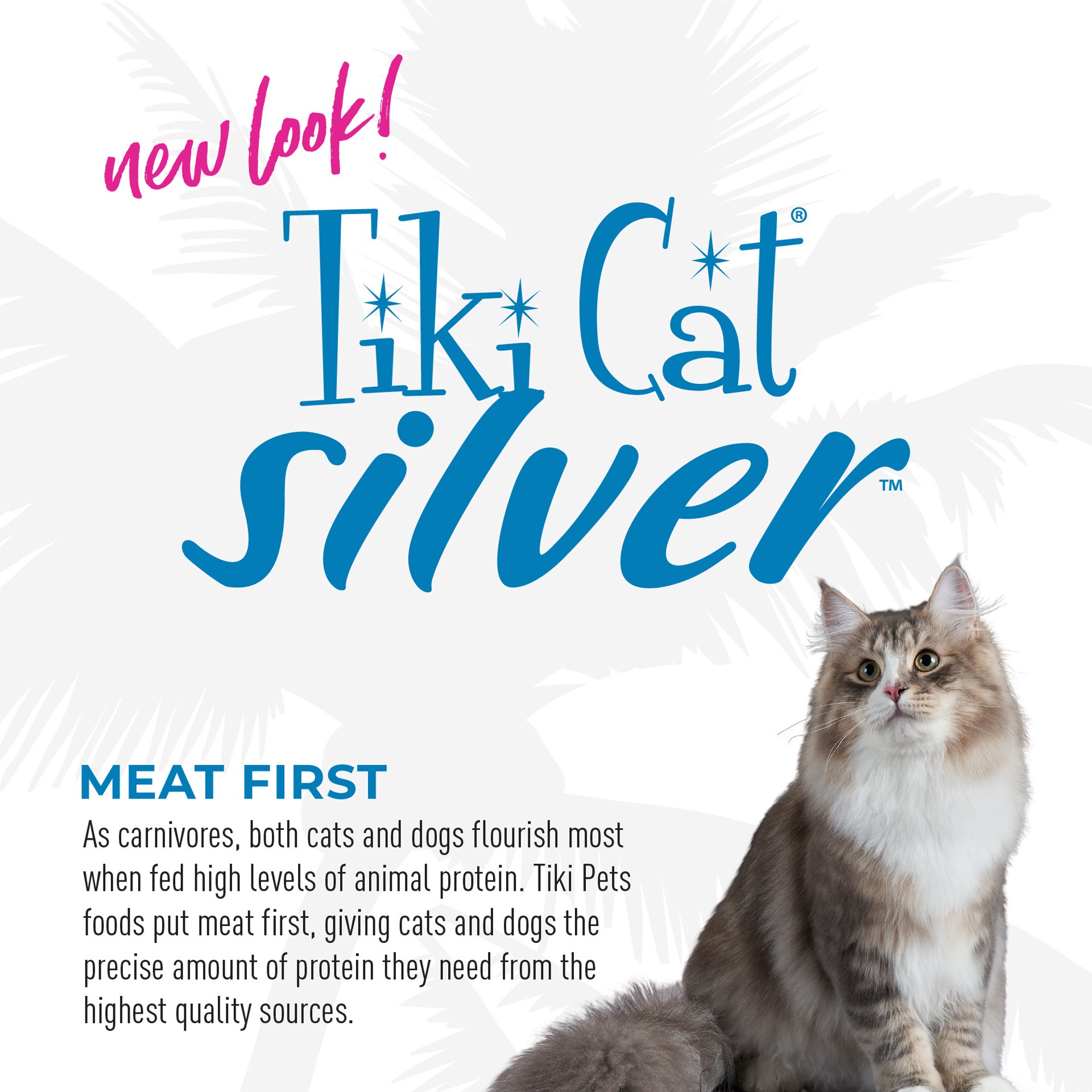 slide 4 of 9, Tiki Cat Silver Mousse Wet Cat Food for Seniors, Chicken & Pumpkin, 2.8 oz. Pouch, 2.8 oz