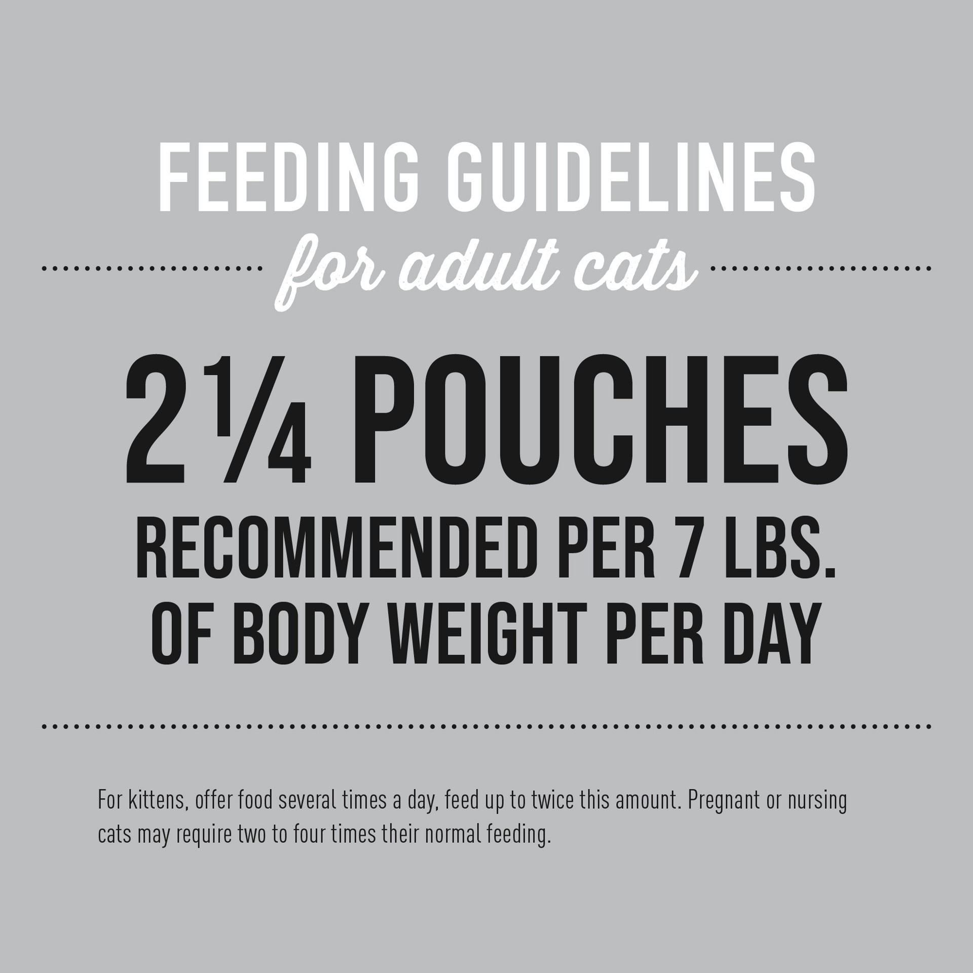 slide 5 of 9, Tiki Cat Silver Mousse Wet Cat Food for Seniors, Chicken & Pumpkin, 2.8 oz. Pouch, 2.8 oz