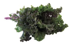 Fresh Variety Kale