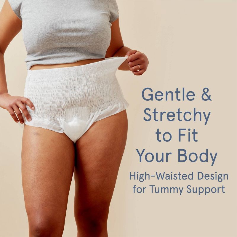 slide 5 of 13, LOLA Postpartum Underwear with Organic Cotton Maxi Pad - 10ct, 10 ct