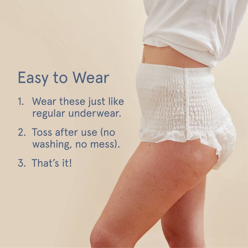 slide 8 of 13, LOLA Postpartum Underwear with Organic Cotton Maxi Pad - 10ct, 10 ct