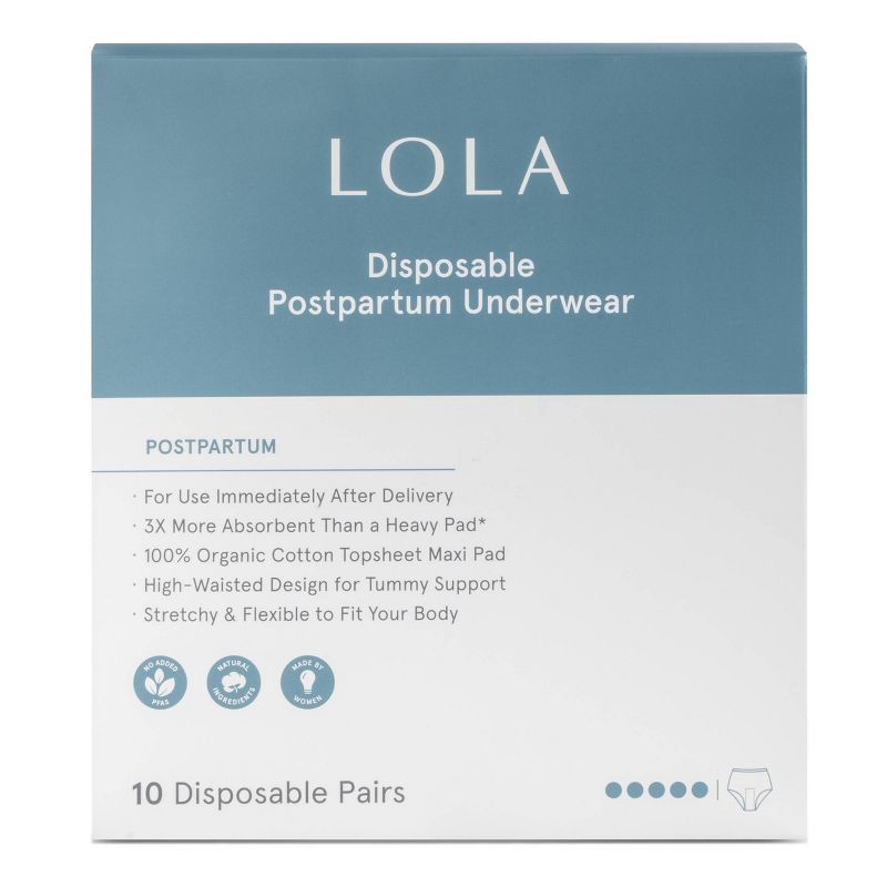 slide 1 of 13, LOLA Postpartum Underwear with Organic Cotton Maxi Pad - 10ct, 10 ct