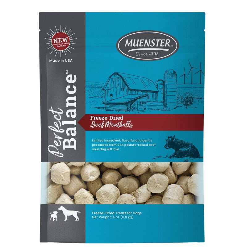 slide 1 of 9, Muenster Perfect Balance Beef Flavor Freeze Dried Dog Treats - 4oz, 4 oz