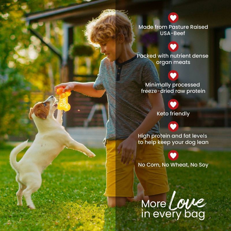 slide 7 of 9, Muenster Perfect Balance Beef Flavor Freeze Dried Dog Treats - 4oz, 4 oz