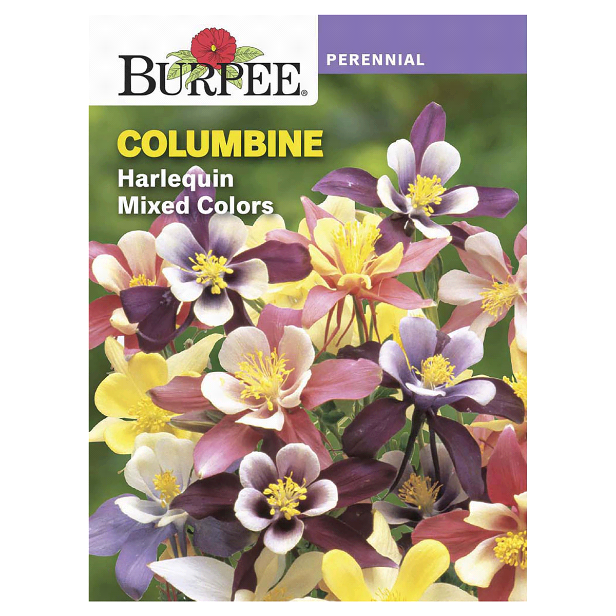 slide 1 of 5, Burpee Columbine Harlequin Mixed Color Seeds - Multi-Color, 1 ct