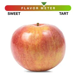 Michigan Apples Mcintosh