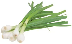 Organic Yellow Grilling Onion