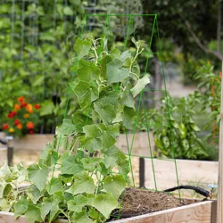 Panacea A Frame Trellis, Green, 47 In X 18 In