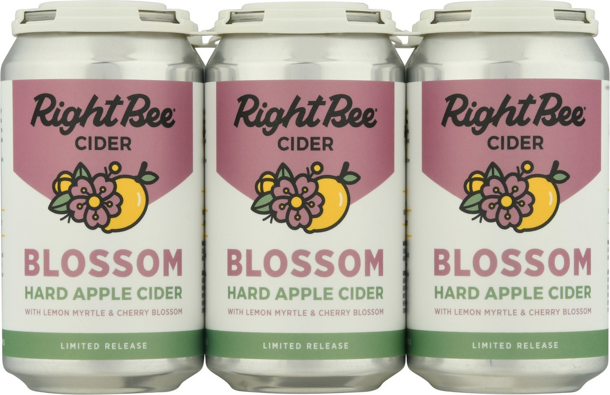 slide 1 of 11, Right Bee Hard Apple Cider Blossom Hard Apple Cider 6-12 oz Cans, 6 ct
