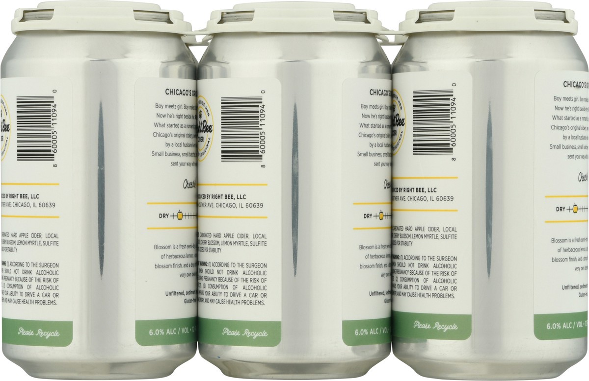 slide 4 of 11, Right Bee Hard Apple Cider Blossom Hard Apple Cider 6-12 oz Cans, 6 ct