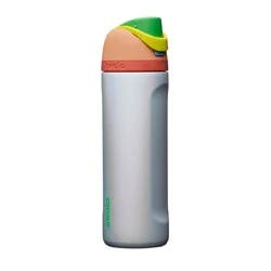 Owala Special Edition 24oz FreeSip Stainless Steel Water Bottle - Opal Dream