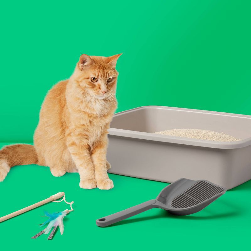 slide 2 of 3, Natural Grass Lightweight Clumping Low Dust Odor Control Unscented Cat Litter - 10lbs - up&up™, 10 lb