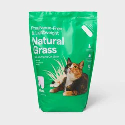 Grass Lightweight Clumping Low Dust Odor Control Unscented Cat Litter - 10lbs - up&up™