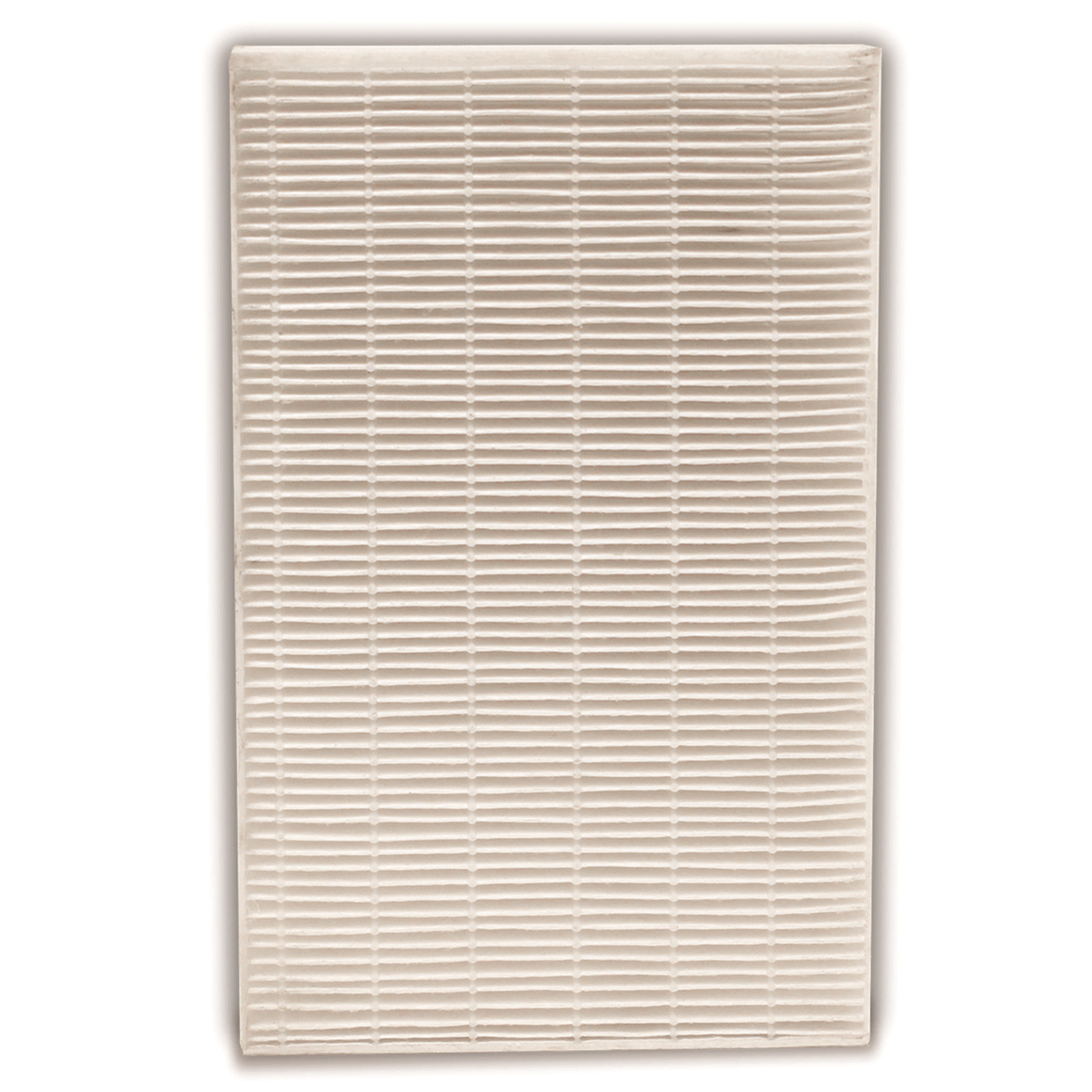 slide 13 of 13, Honeywell Filter R True HEPA Replacement Filter, 2 ct