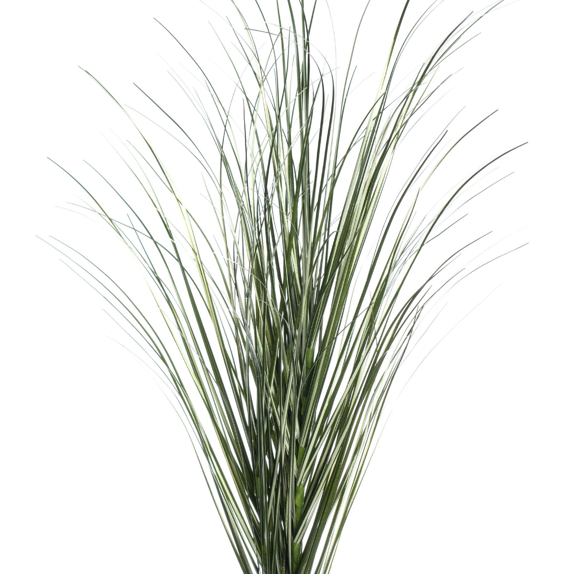 slide 3 of 3, Tall Green Grass Stem By Ashland, 10 in x 7 in x 39 in