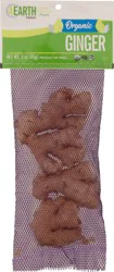 4Earth Farms Organic Ginger 3 oz