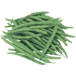 Bean Green
