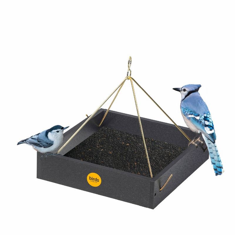 slide 5 of 10, Birds Choice Bird Choice Small Modern Farmhouse Hanging Platform Tray Bird Feeder 2.5" Black, 1 ct