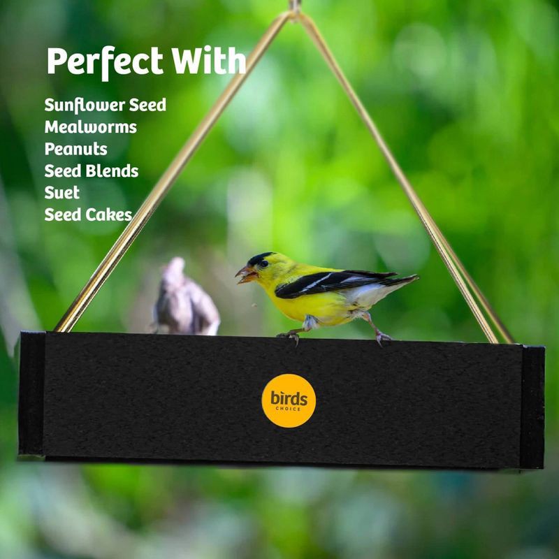 slide 9 of 10, Birds Choice Bird Choice Small Modern Farmhouse Hanging Platform Tray Bird Feeder 2.5" Black, 1 ct