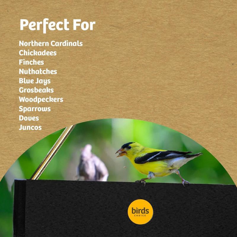 slide 10 of 10, Birds Choice Bird Choice Small Modern Farmhouse Hanging Platform Tray Bird Feeder 2.5" Black, 1 ct