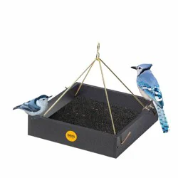Birds Choice Bird Choice Small Modern Farmhouse Hanging Platform Tray Bird Feeder 2.5" Black