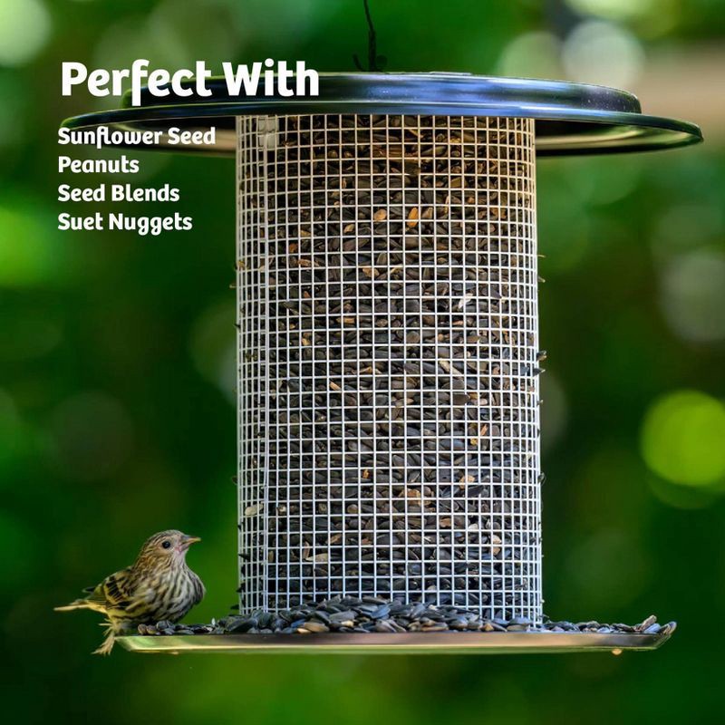 slide 5 of 7, Birds Choice Bird Choice Modern Farmhouse Sunflower Seed Tub Bird Feeder 9.5" Black & White, 1 ct