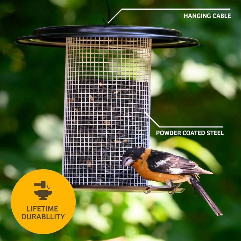 slide 6 of 7, Birds Choice Bird Choice Modern Farmhouse Sunflower Seed Tub Bird Feeder 9.5" Black & White, 1 ct