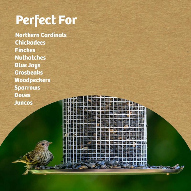 slide 7 of 7, Birds Choice Bird Choice Modern Farmhouse Sunflower Seed Tub Bird Feeder 9.5" Black & White, 1 ct