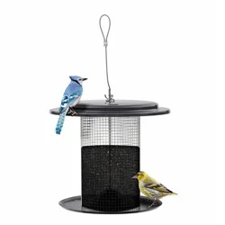 Birds Choice Bird Choice Modern Farmhouse Sunflower Seed Tub Bird Feeder 9.5" Black & White