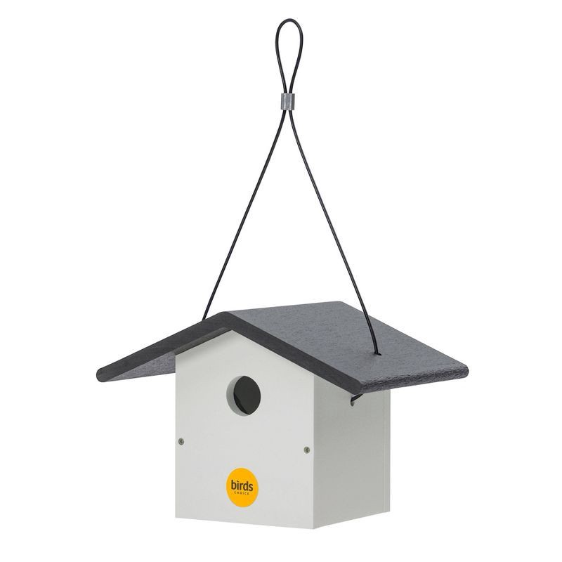 slide 2 of 9, Birds Choice 7" Modern Farmhouse Wren House Black & White, 1 ct