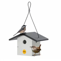 Birds Choice 7" Modern Farmhouse Wren House Black & White