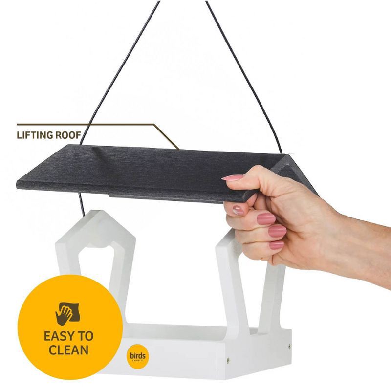 slide 7 of 11, Birds Choice Bird Choice Modern Farmhouse Fly Thru Novelty Bird Feeder 7" Black & White, 1 ct