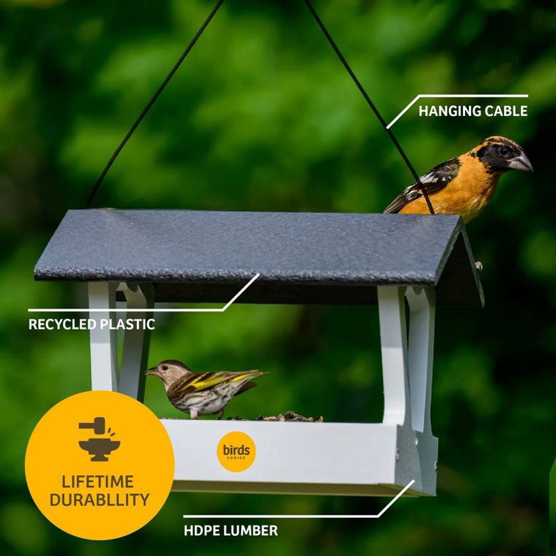 slide 9 of 11, Birds Choice Bird Choice Modern Farmhouse Fly Thru Novelty Bird Feeder 7" Black & White, 1 ct