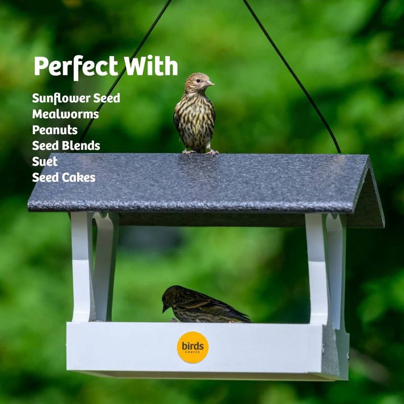 slide 10 of 11, Birds Choice Bird Choice Modern Farmhouse Fly Thru Novelty Bird Feeder 7" Black & White, 1 ct