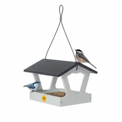 Birds Choice Bird Choice Modern Farmhouse Fly Thru Novelty Bird Feeder 7" Black & White