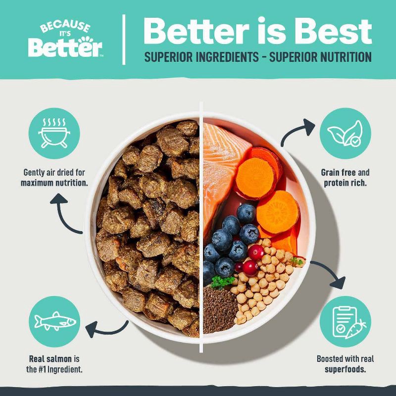 slide 3 of 7, Because it's Better Air Dried Kibble Salmon Flavor Dry Dog Food - 16oz, 16 oz