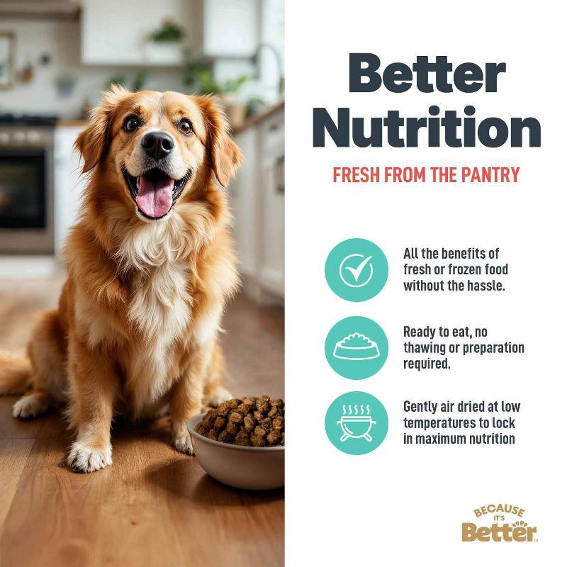 slide 6 of 7, Because it's Better Air Dried Kibble Salmon Flavor Dry Dog Food - 16oz, 16 oz