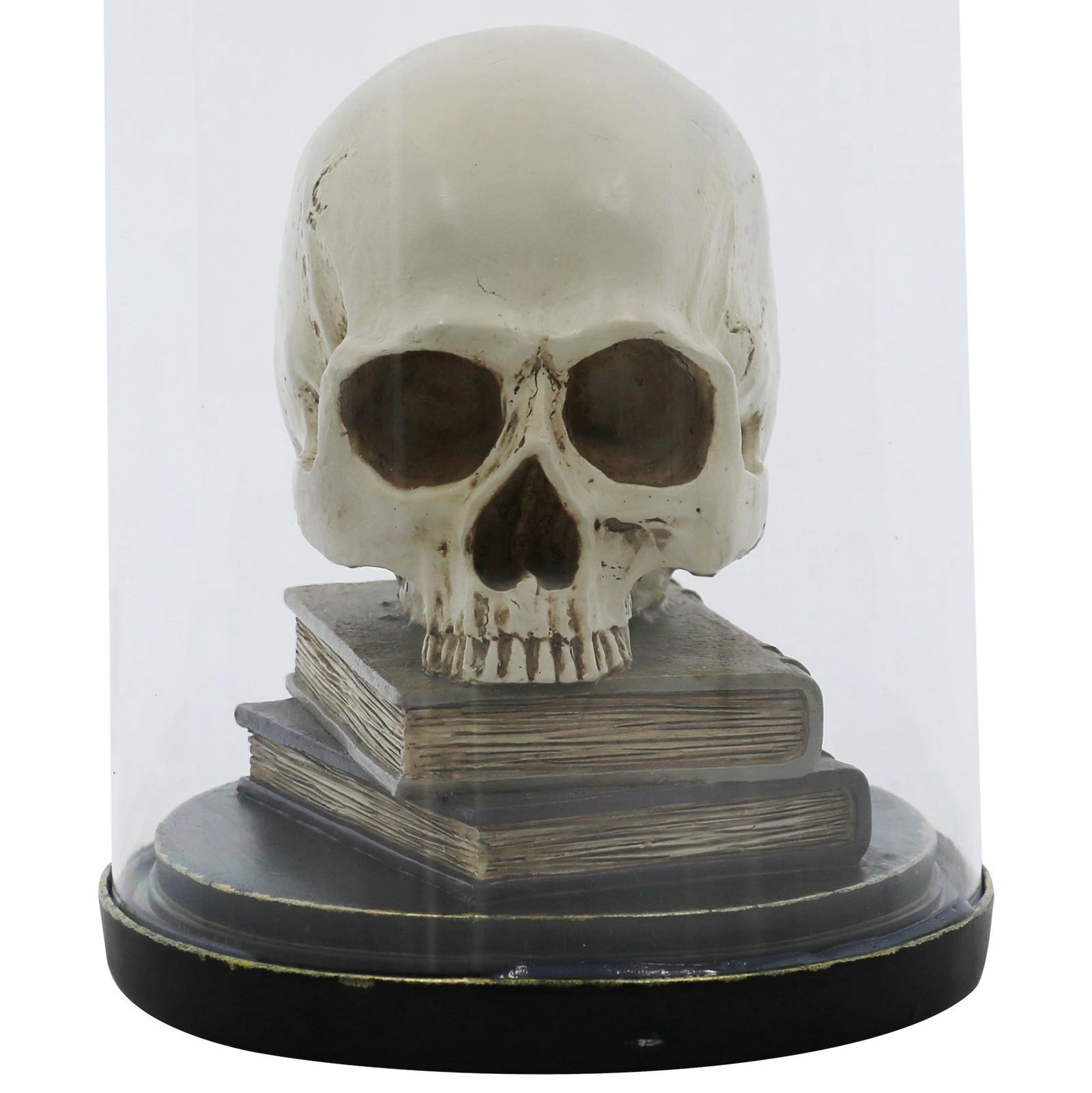 slide 4 of 4, 9.5" Skull On Books Cloche Tabletop Decor By Ashland, 9.5 in