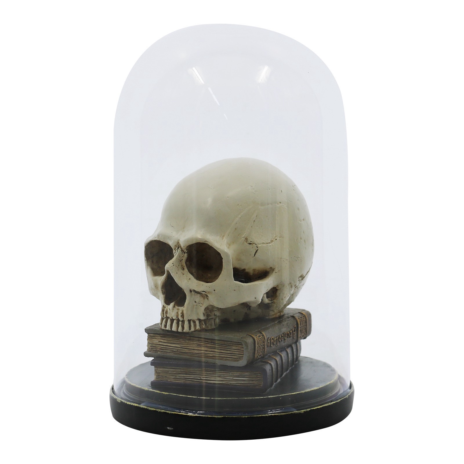 slide 2 of 4, 9.5" Skull On Books Cloche Tabletop Decor By Ashland, 9.5 in
